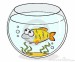 aquarium-funny-fish-20045474